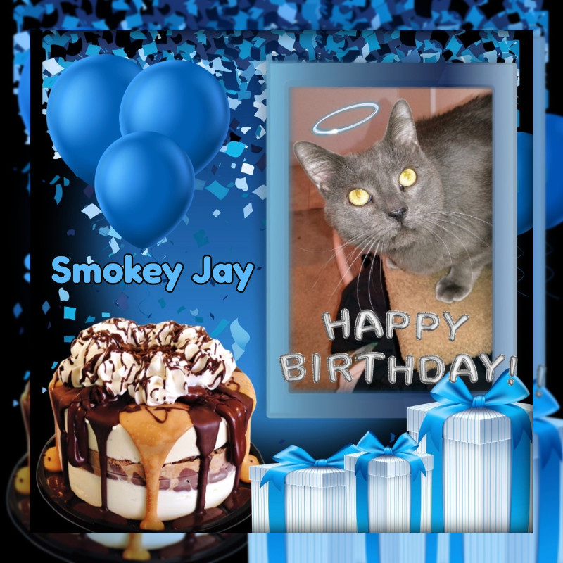 Smokey Jay of the thebugster08 family
