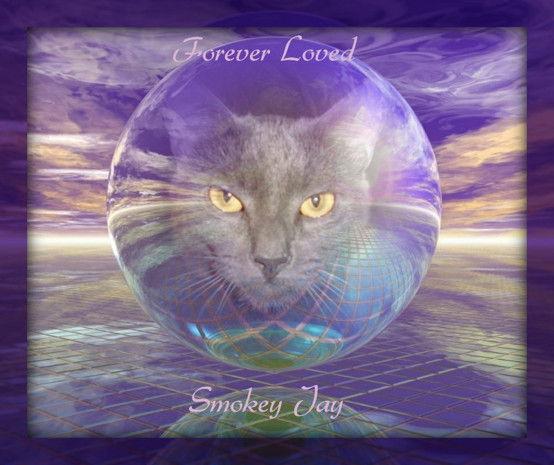 Smokey Jay of the thebugster08 family