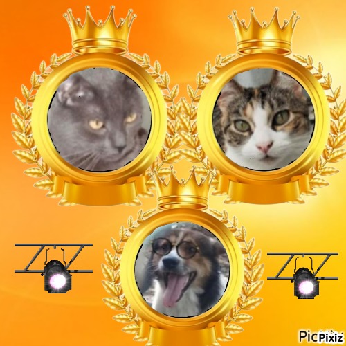 Smokey Jay of the thebugster08 family