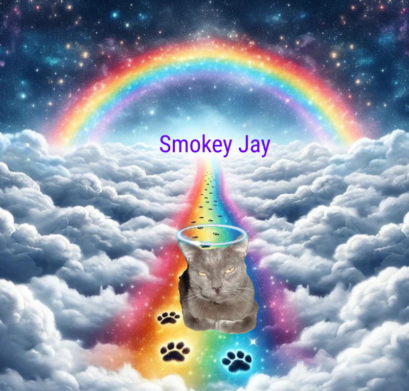 Smokey Jay of the thebugster08 family