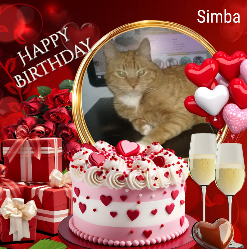 thebugster08 uploaded   8  day/s  ago