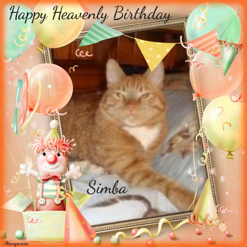 thebugster08 uploaded   6  day/s  ago