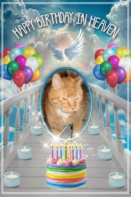 thebugster08 uploaded   8  day/s  ago