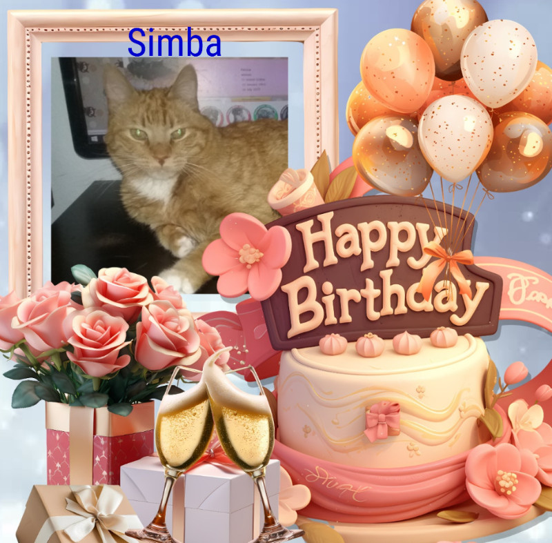 thebugster08 uploaded   8  day/s  ago