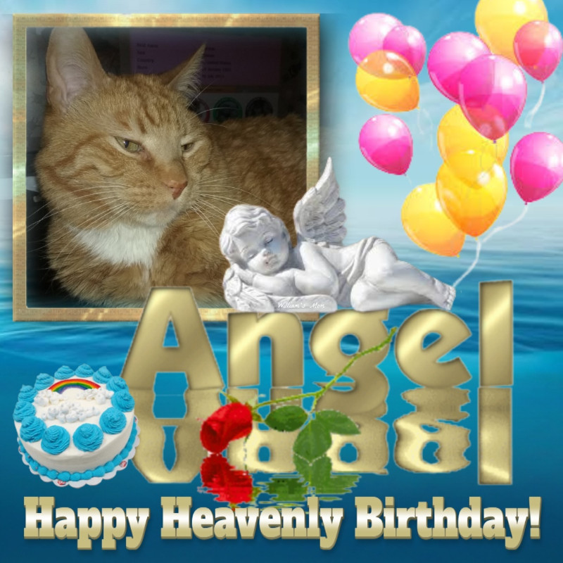 thebugster08 uploaded   8  day/s  ago