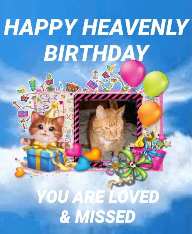 thebugster08 uploaded   5  day/s  ago