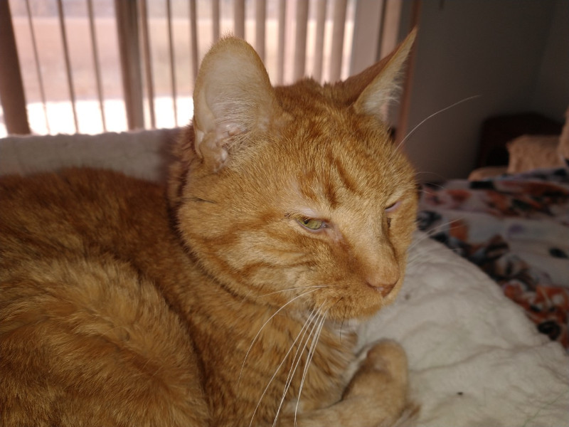 thebugster08 uploaded   207  day/s  ago