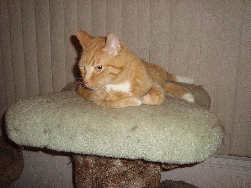 thebugster08 uploaded   207  day/s  ago