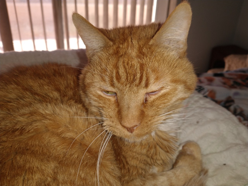 thebugster08 uploaded   207  day/s  ago