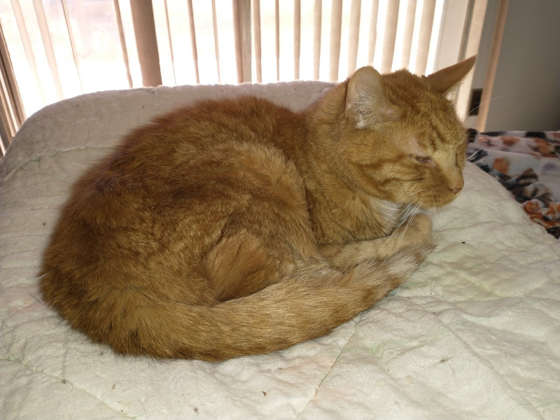 thebugster08 uploaded   207  day/s  ago