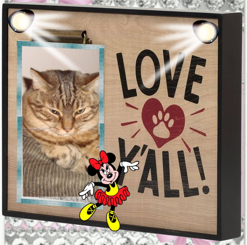 Abby of the thebugster08 family