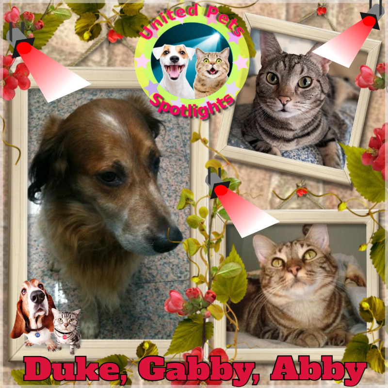 Abby of the thebugster08 family