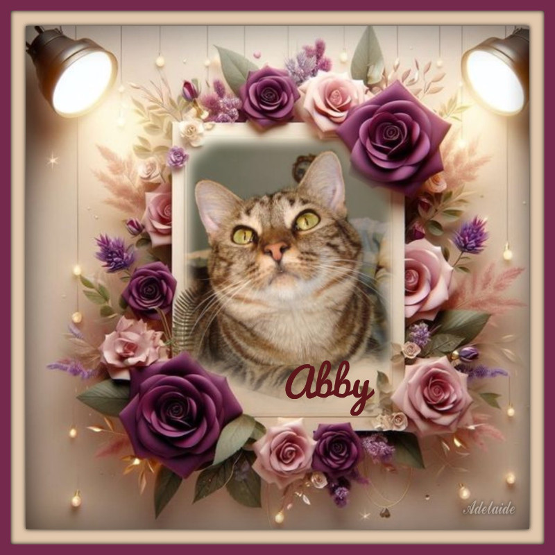 Abby of the thebugster08 family