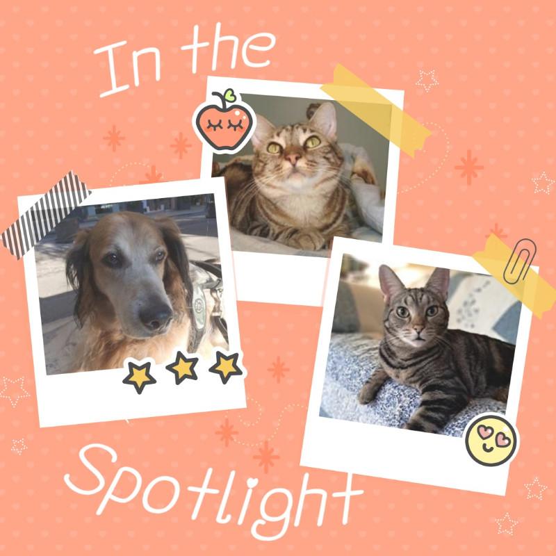 thebugster08 uploaded   83  day/s  ago