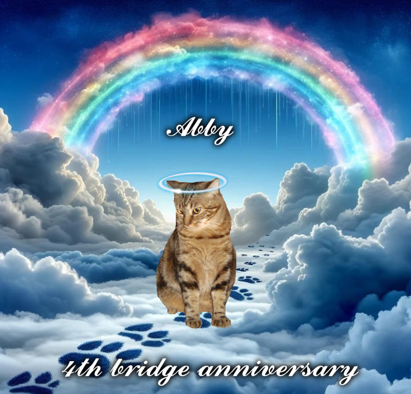 thebugster08 uploaded   138  day/s  ago