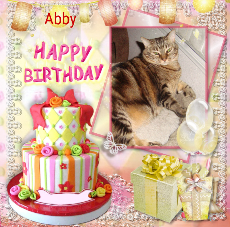 Abby of the thebugster08 family