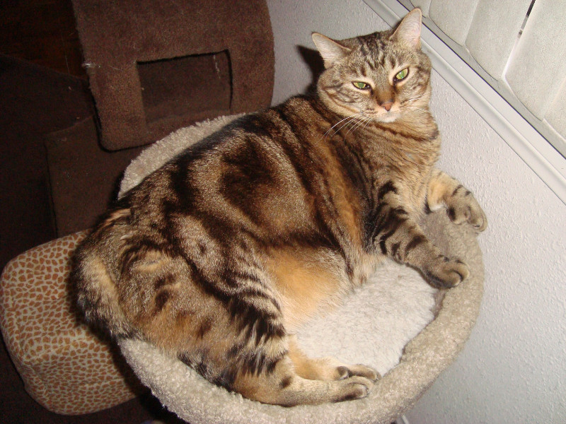 thebugster08 uploaded   207  day/s  ago