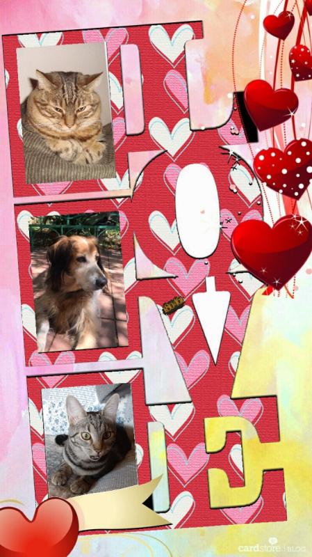 Abby of the thebugster08 family