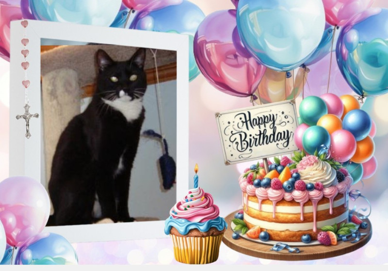 thebugster08 uploaded   11  day/s  ago