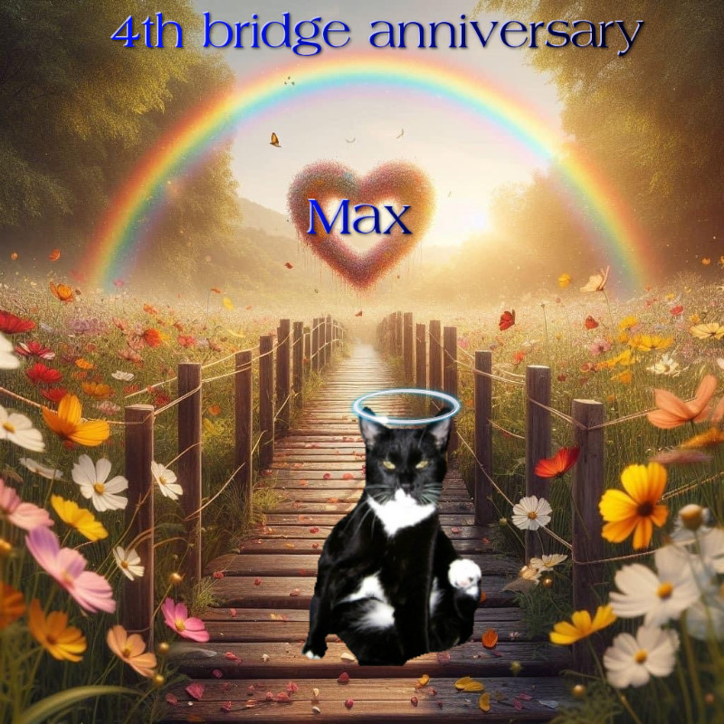 Max of the thebugster08 family