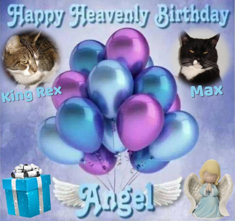 thebugster08 uploaded   11  day/s  ago