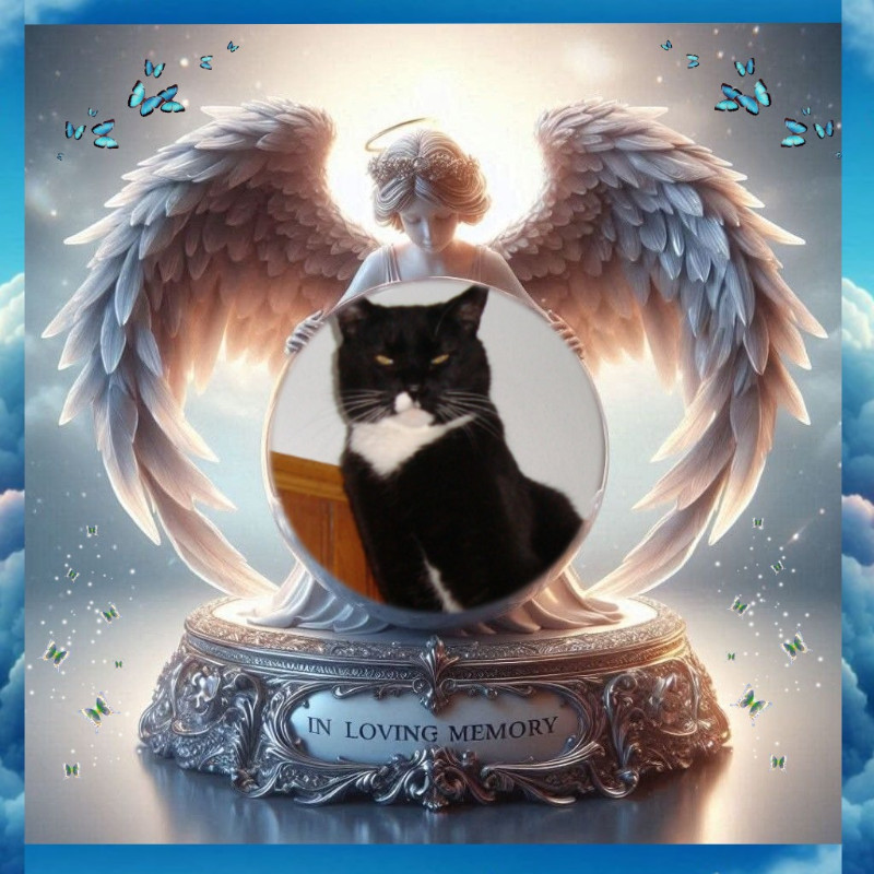 Max of the thebugster08 family