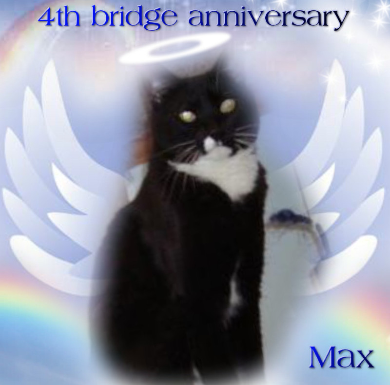 Max of the thebugster08 family