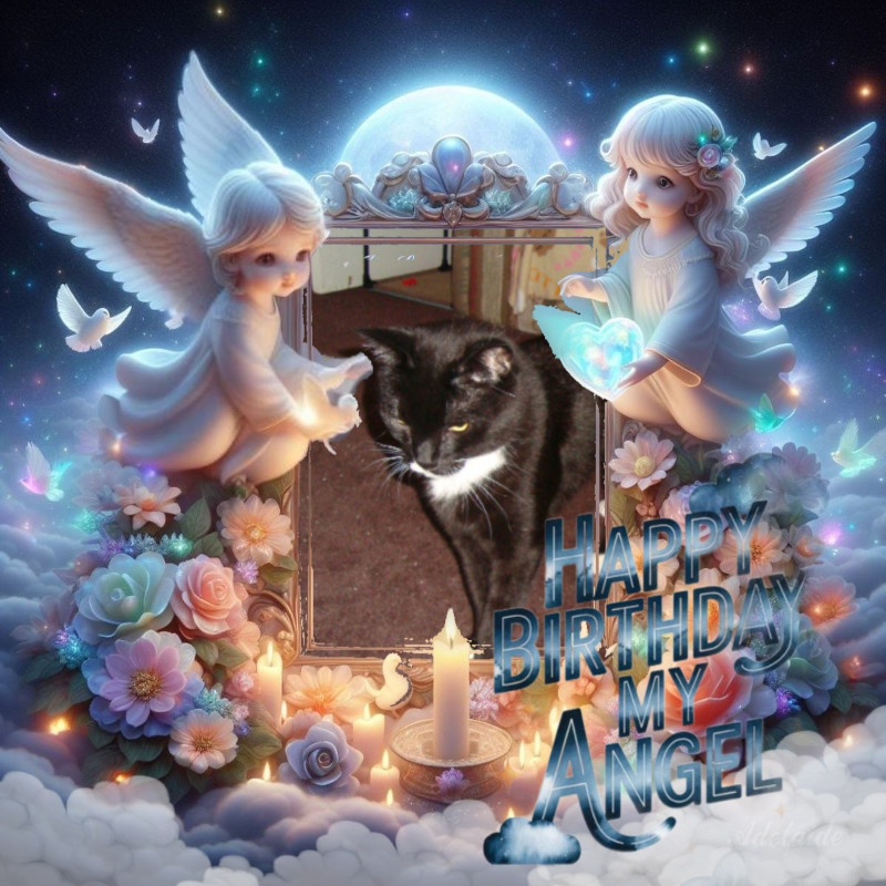 thebugster08 uploaded   9  day/s  ago