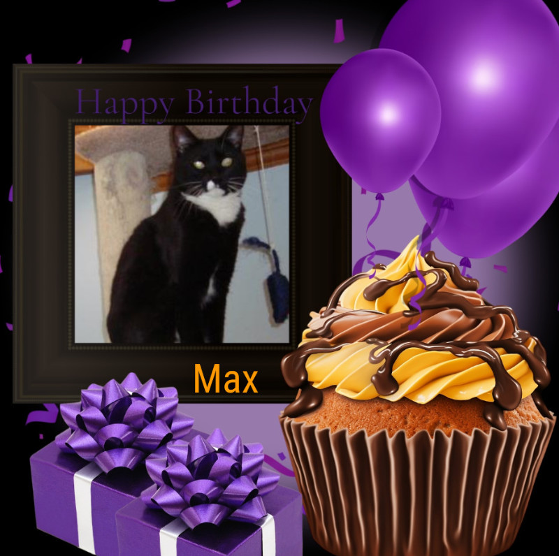 thebugster08 uploaded   11  day/s  ago