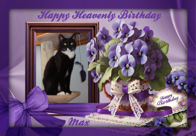 thebugster08 uploaded   10  day/s  ago