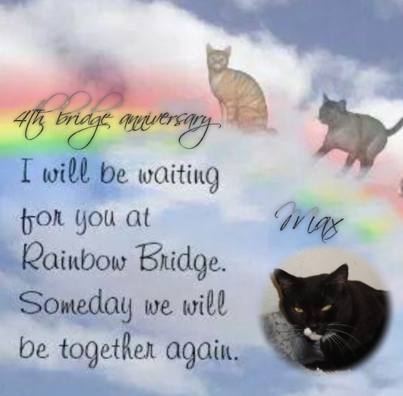 Max of the thebugster08 family