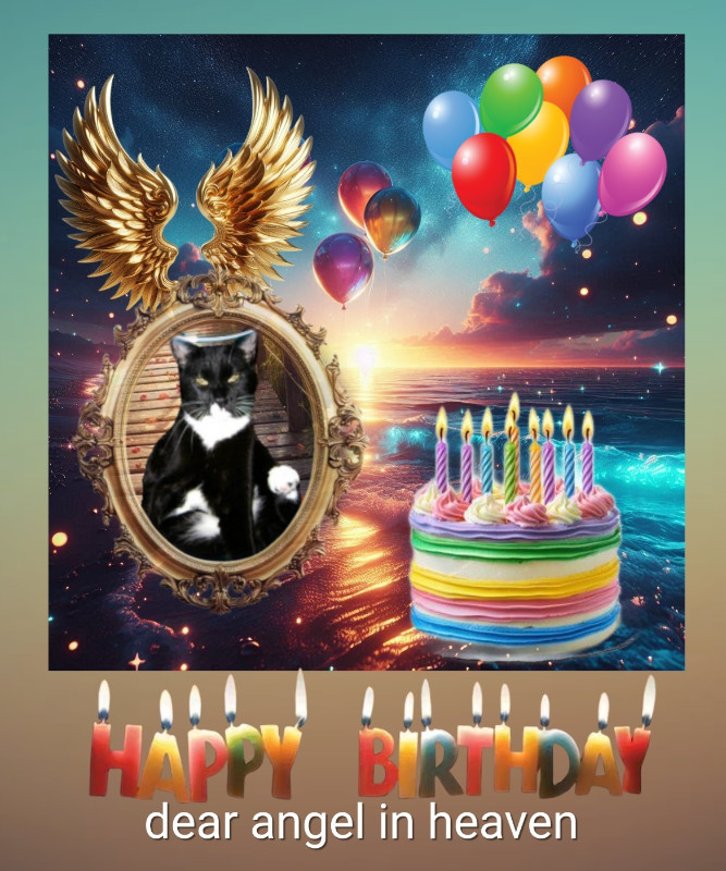 thebugster08 uploaded   11  day/s  ago