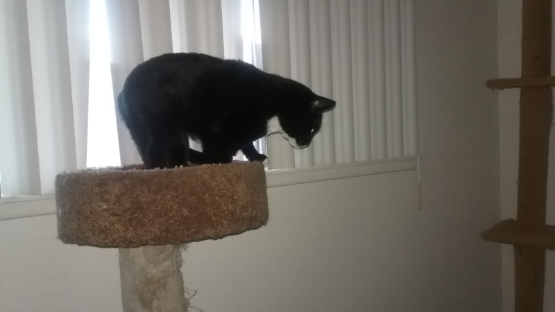 Max of the thebugster08 family