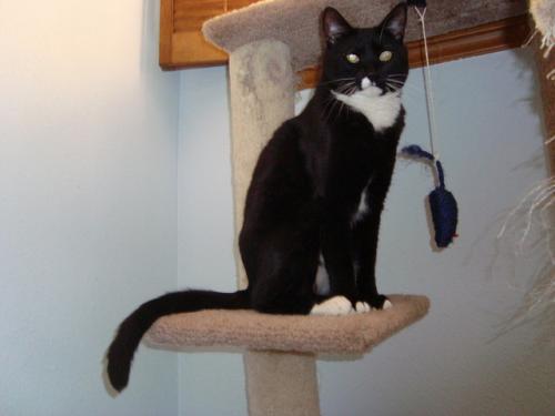 Max of the thebugster08 family