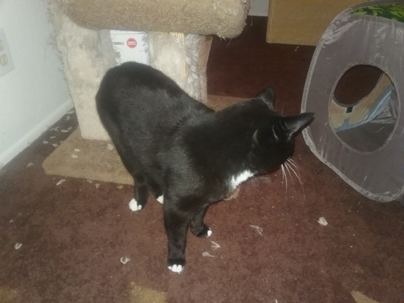 Max of the thebugster08 family