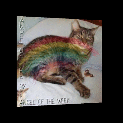 thebugster08 uploaded   52  day/s  ago