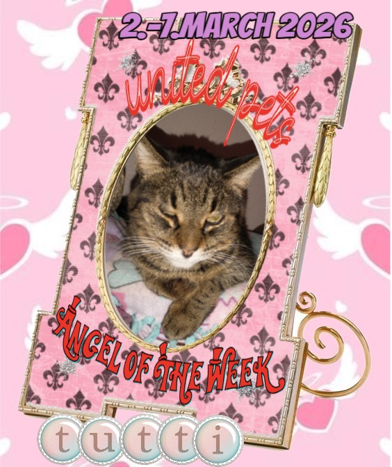 thebugster08 uploaded   53  day/s  ago