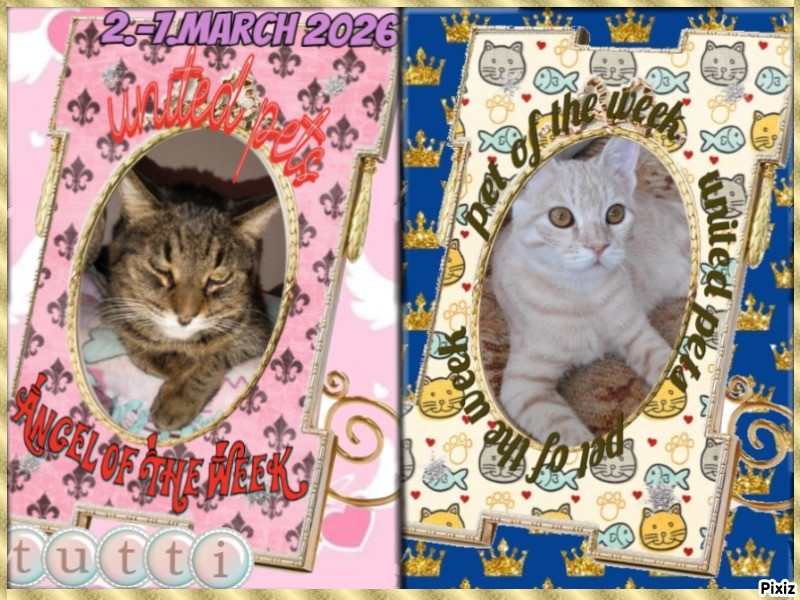 thebugster08 uploaded   53  day/s  ago