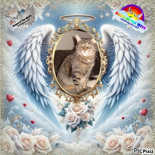 thebugster08 uploaded   53  day/s  ago