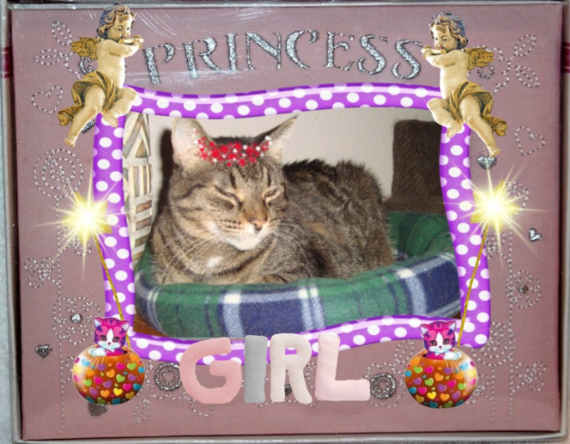 thebugster08 uploaded   53  day/s  ago