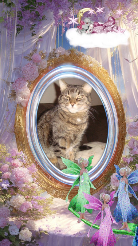 thebugster08 uploaded   53  day/s  ago