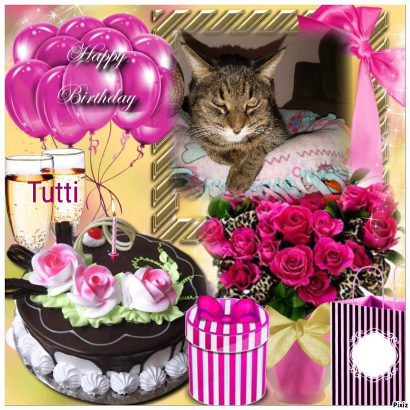 thebugster08 uploaded   54  day/s  ago