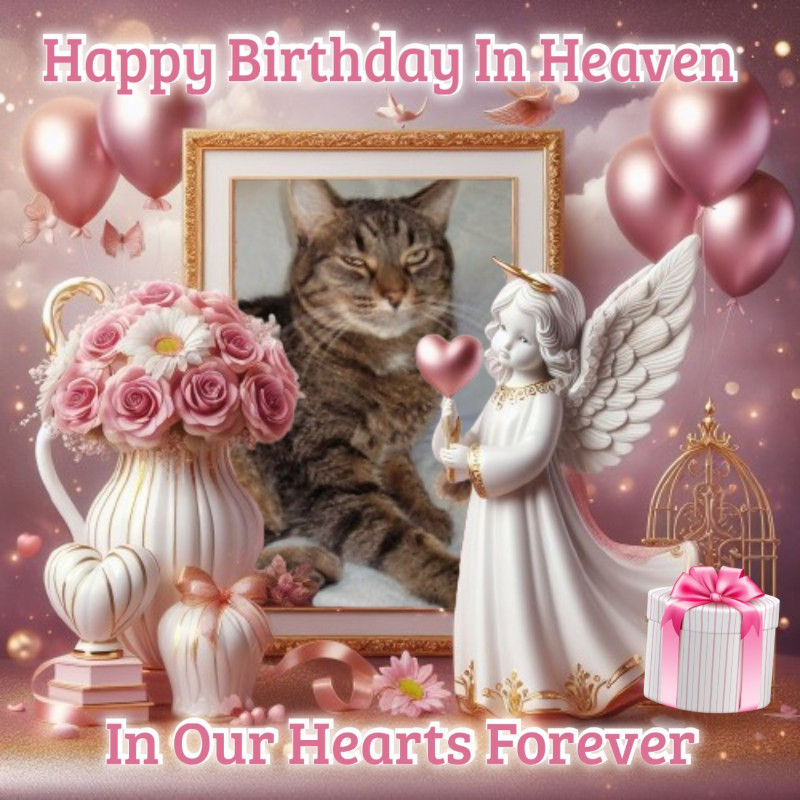 thebugster08 uploaded   53  day/s  ago