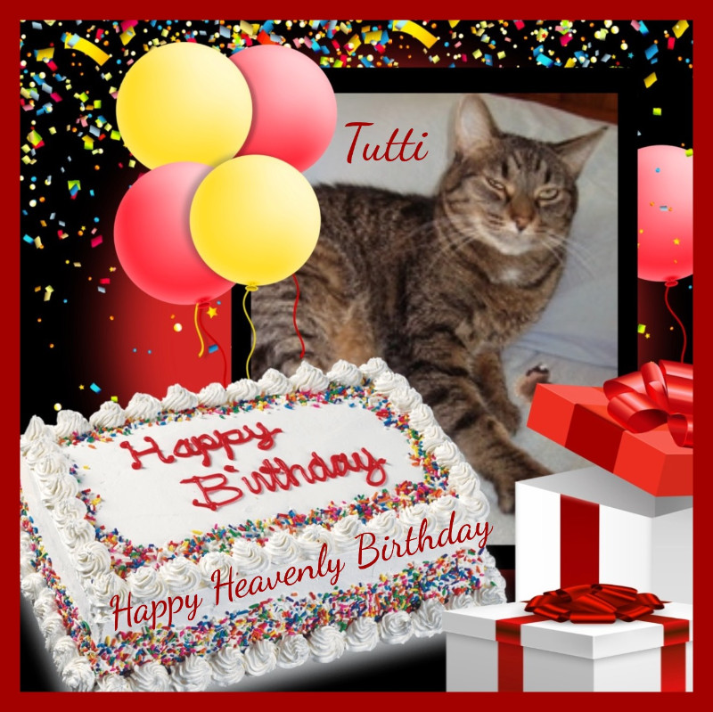 thebugster08 uploaded   53  day/s  ago