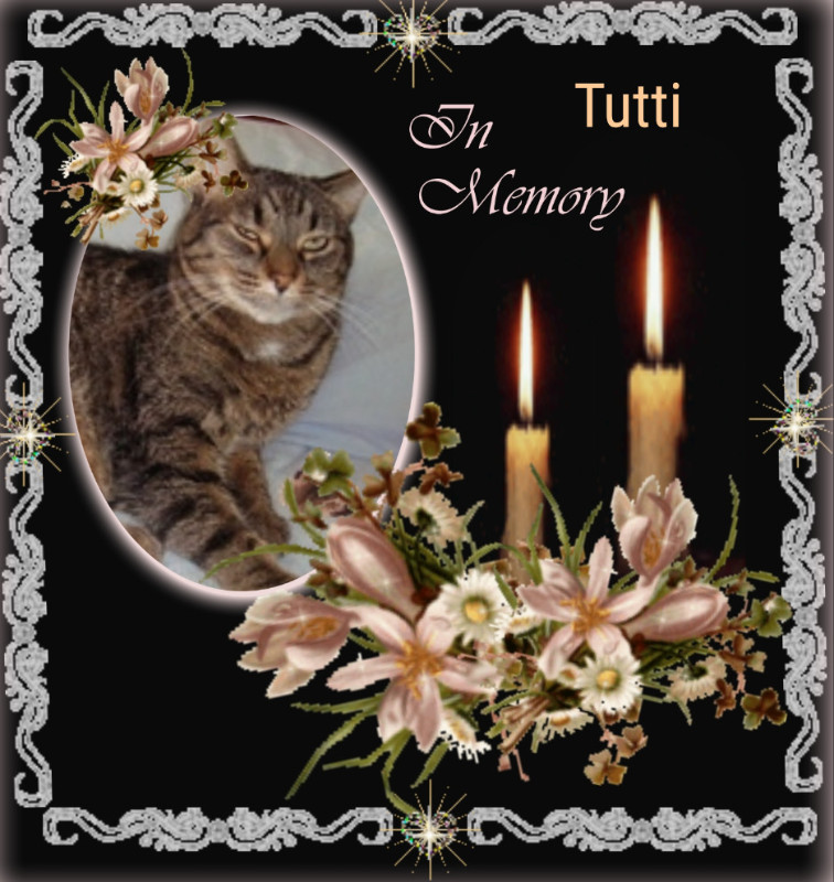 Tutti of the thebugster08 family