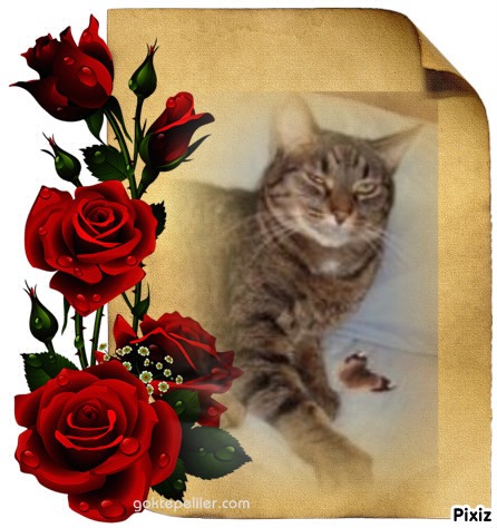 Tutti of the thebugster08 family