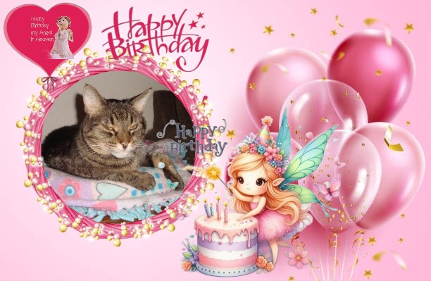 thebugster08 uploaded   53  day/s  ago