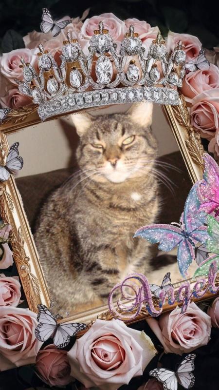 thebugster08 uploaded   51  day/s  ago