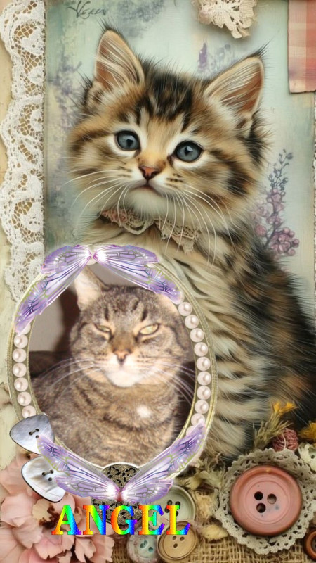 thebugster08 uploaded   49  day/s  ago