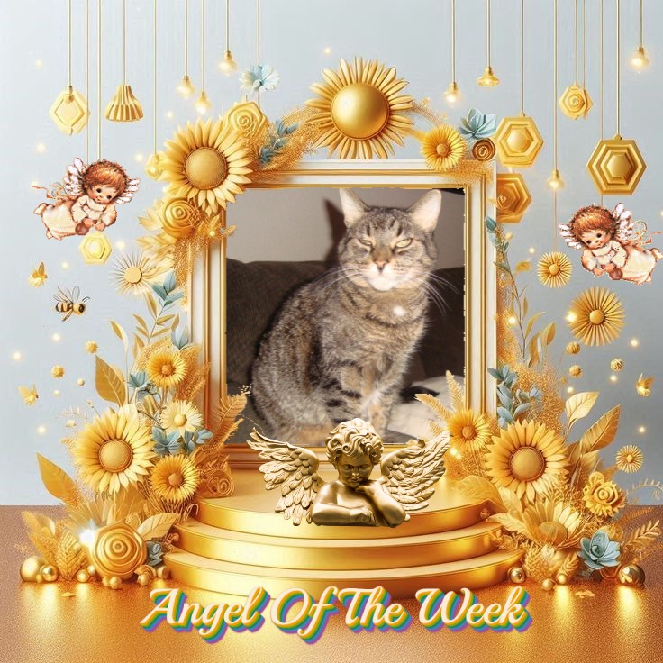 Tutti of the thebugster08 family